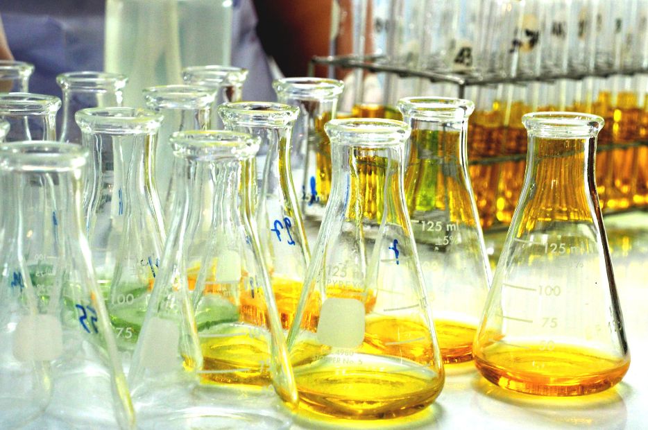 Działanie antynowotworowe ksantohumolu.  